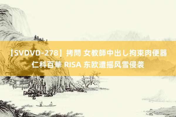 【SVDVD-278】拷問 女教師中出し拘束肉便器 仁科百華 RISA 东欧遭摇风雪侵袭